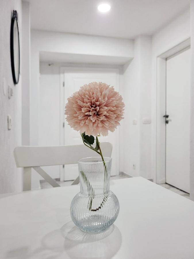 Stara Posta Apartment 5 Grosuplje Zewnętrze zdjęcie